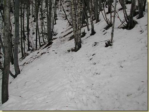 Il sentiero ben tracciato dai camosci in Val Gabbio...  