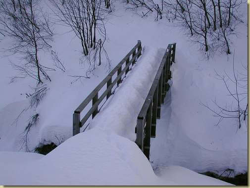 Ponte presso l'Alpe Boschelli (anche i camosci lo usano...) 