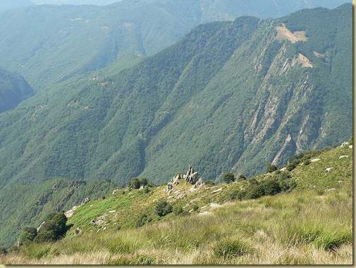 vista sul prato dell'Alpe B&uuml;sen 