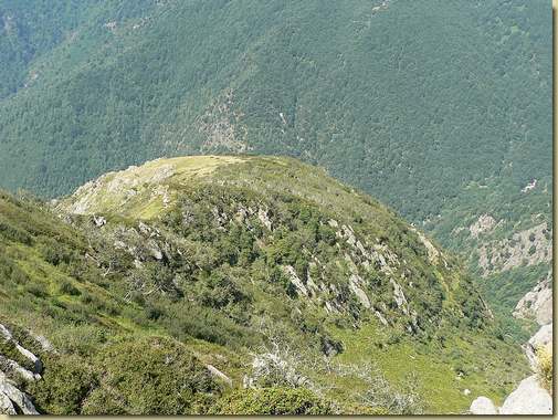 Vista sul dosso dell'Alpe Corte Gemello