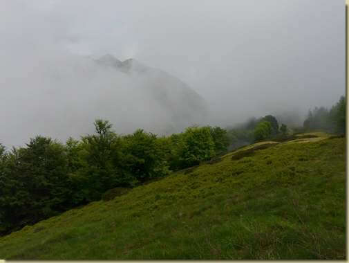 la Marona nella nebbia...