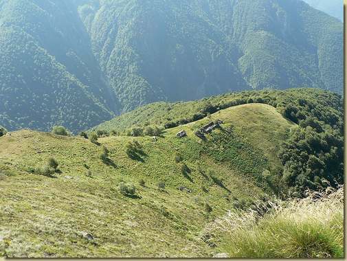 Alpe Busarasca