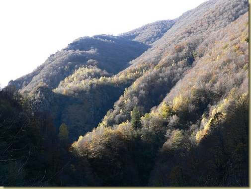autunno in Val Pogallo