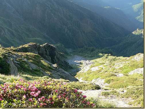 alla destra della colata di sassi, la dorsale dell'Alpe Valle