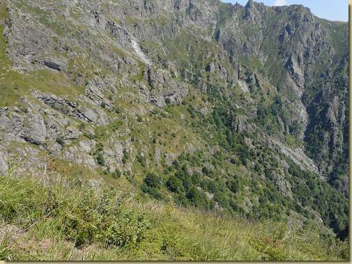 vista verso il bosco dell'Alpe Vall... 