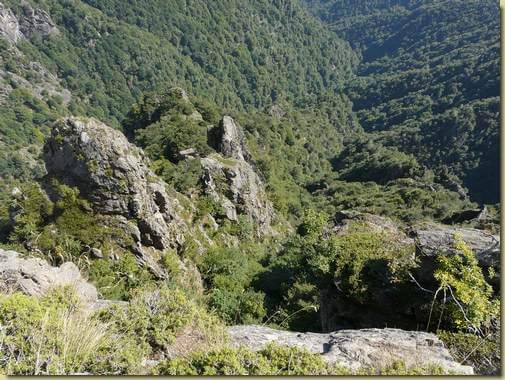 sul fondo il bosco dell'Alpe Baldesaut di sopra... 