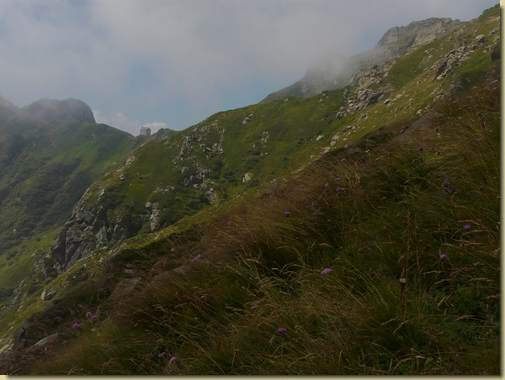 vista verso Bocchetta di Campo 