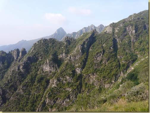 il tratto centrale