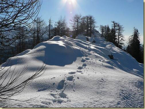 sulla cresta nord del Mottac 