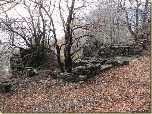 l'Alpe Margossogno 