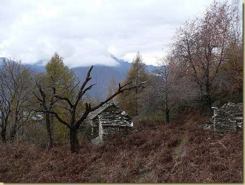 Alpe Sciresola