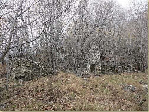 Alpe Curt Per 