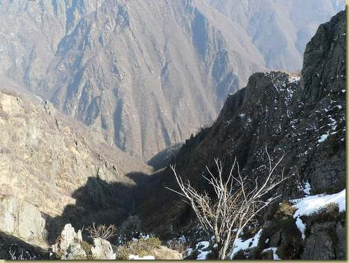 Val Foiera