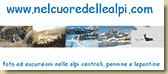 Nel Cuore delle Alpi
