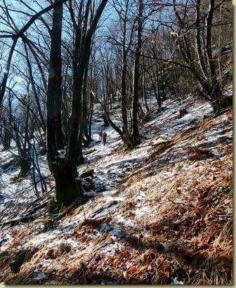 sul sentierino verso la strada per Lut...