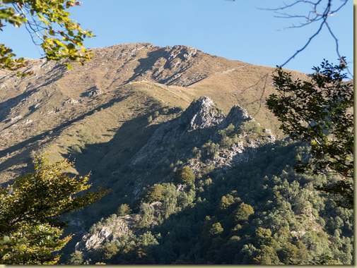 la dorsale di Muschia...