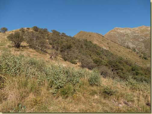 sui prati sottostanti la quota 1736 m.