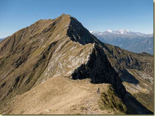 il Togano...