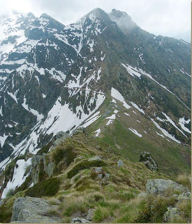 la costa che sale alla Cima Sciarina...