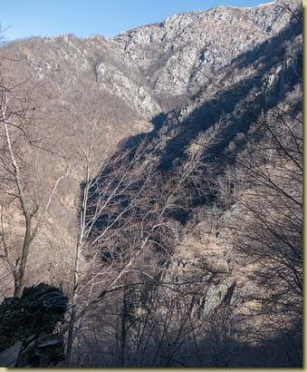 vista verso l'inizio della Val Marona...