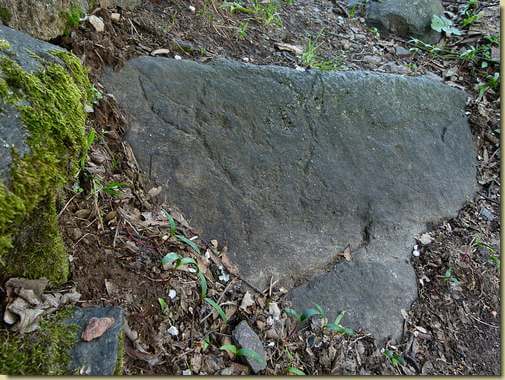 il diavolo de I Fronti...