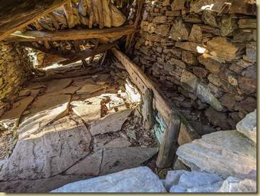 interno della stalla per i vitelli...