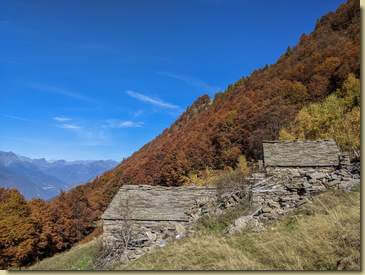 all'Alpe Campo...
