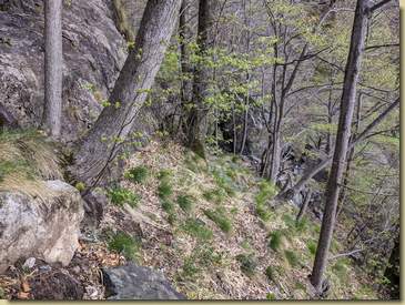 arrivo nel canale della Valle di Nibbio...