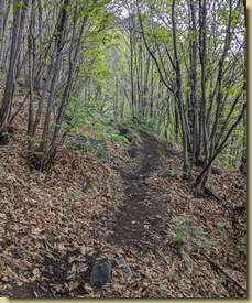 sentiero "ripulito"...