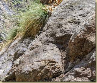 tacca poggiapiedi...