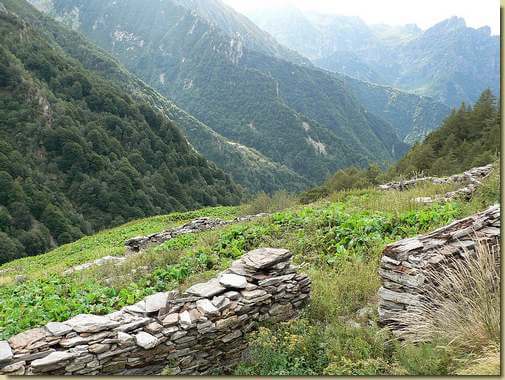 all'Alpe Biordo - al centro la Costa Mazza e la Costa dei Riazzoli