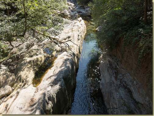 il Rio Pianezzoli...