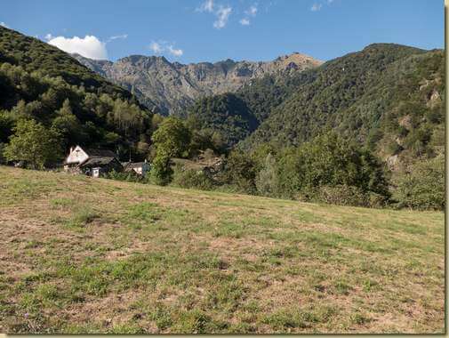 sul prato di Pogallo...