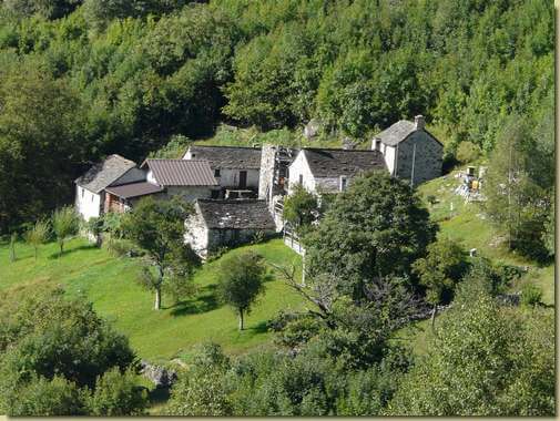 Daila [teleobiettivo] 