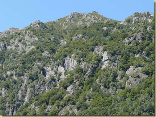 il versante dove si trova il Balm di Lenet [teleobiettivo] nel bosco sulla destra sopra la roccia con la spaccatura orizzontale...