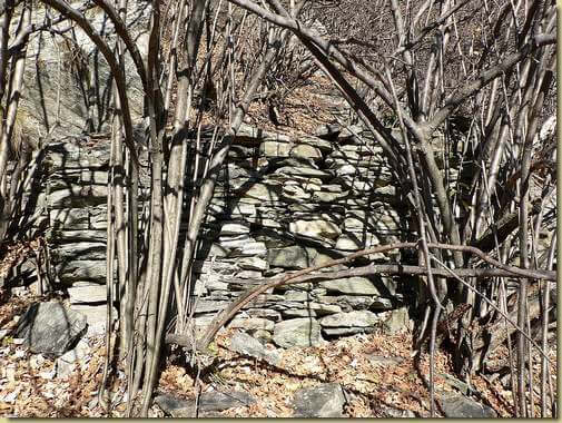 ruderi dell'Alpe B&egrave;ula...