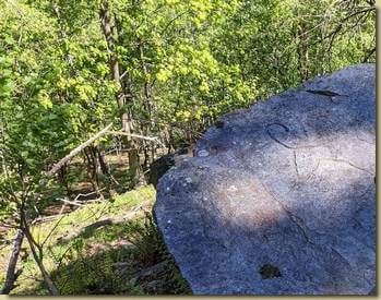 il Camoscio a Sottosasso di sopra...