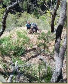 in salita... (foto di Francesco)