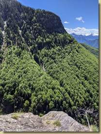 il verde versante del Sasso Miscioi...