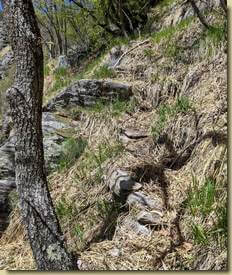 sentiero per l'acqua...