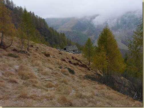 il Caserino delle Pulci...