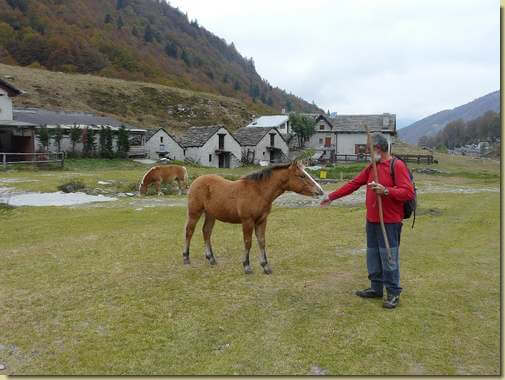 incontri in Val Loana...