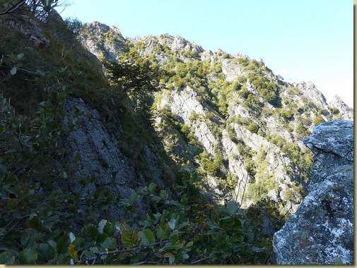 vista sulla Val Foiera dalla Bocchetta a quota 1130 m. 