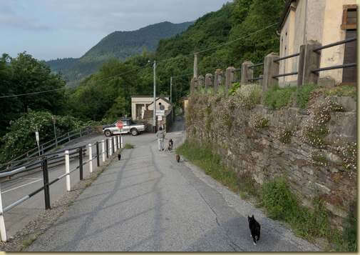 passeggiata mattutina...