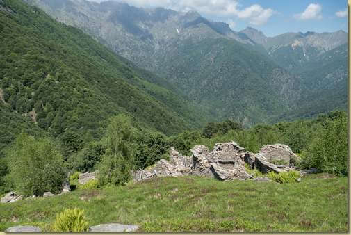 all'Alpe del Braco...