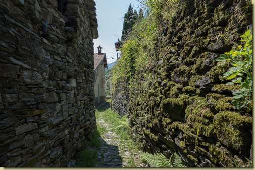 a Cicogna 