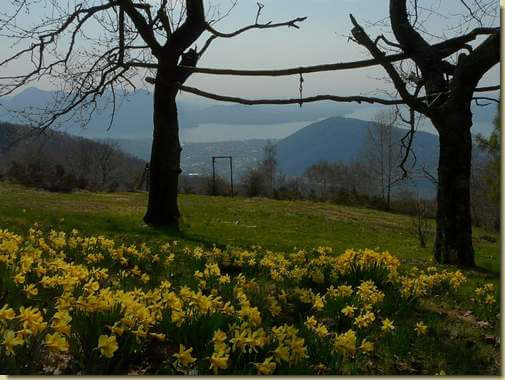 primavera a Vr&egrave;i...