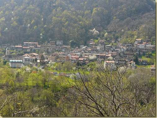 Rovegro