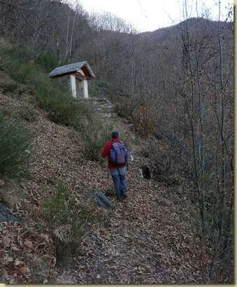 verso l'Alpe Mura...