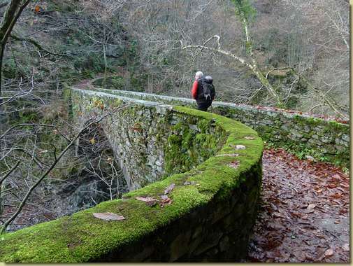il ponte sul Rio di Falmenta